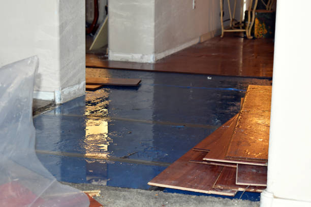 Professional Water Damage Restoration technician working in Jasper, MI